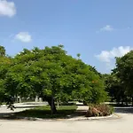 Central Studio In Historic Miami