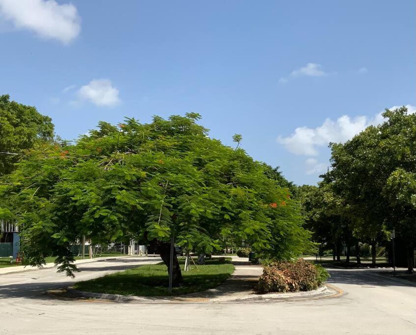 In Historic Appartamento Miami
